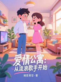 爱情公寓：从流浪歌手开始