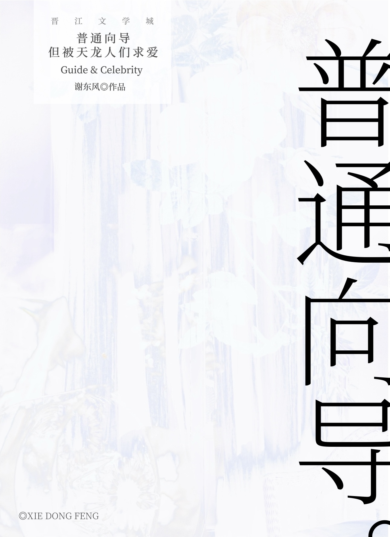 普通向导，但被天龙人们求爱