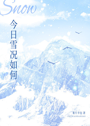 今日雪况如何[破镜重圆]