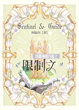 向最强哨兵献上限制文