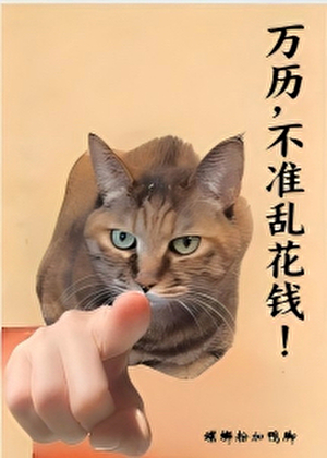 万历的绝色小会计