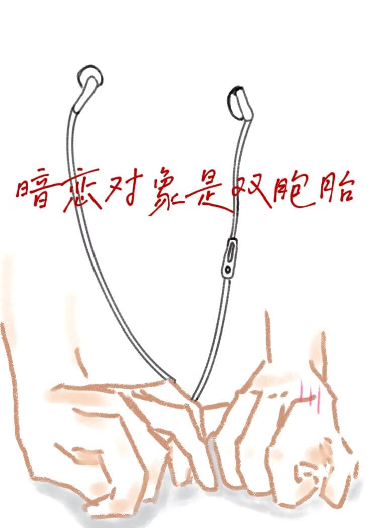 暗恋对象是双胞胎