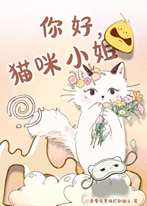 你好，猫咪小姐