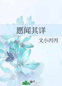 愿闻其详