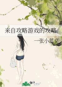 来自攻略游戏的攻略