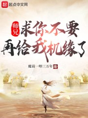 师兄，求你不要再给我机缘了